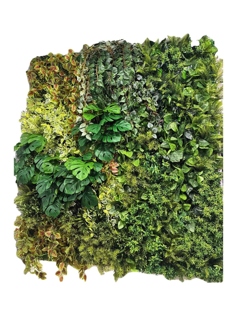 Jardim vertical Luxo: folhagens premium em composição densa, verdes ou em cores mescladas
