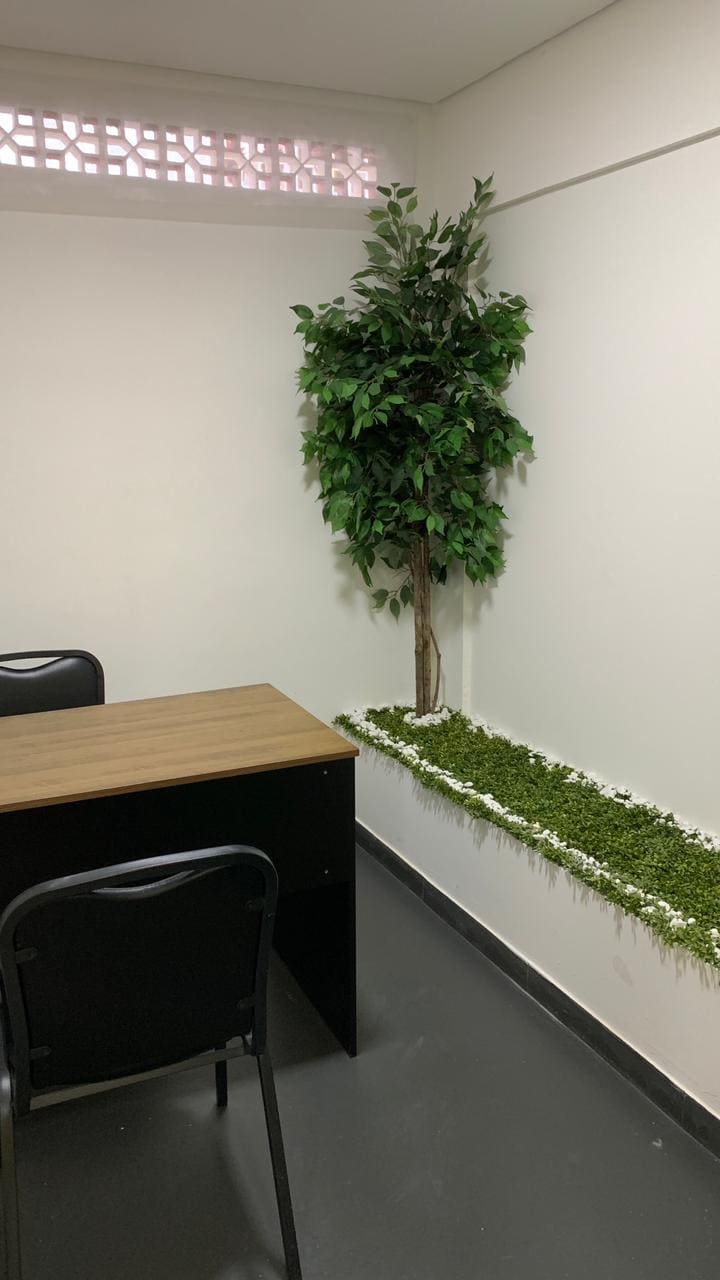 Ficus artificial em canteiro de escritório