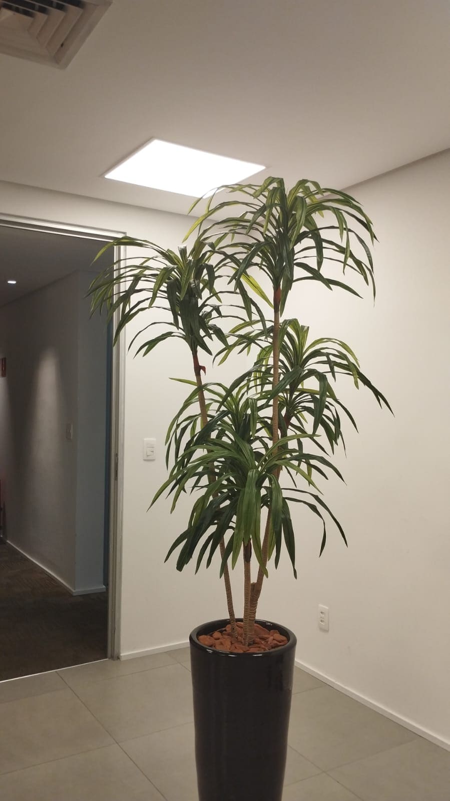 Dracena artificial em corredor
