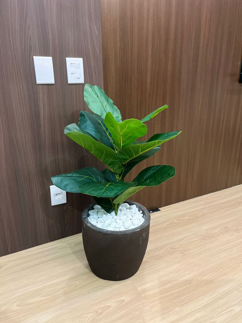Arranjo verde em escritório corporativo