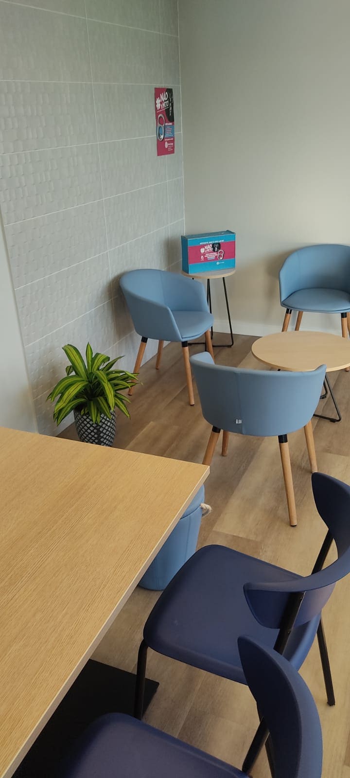 Sala de espera corporativa com dracena